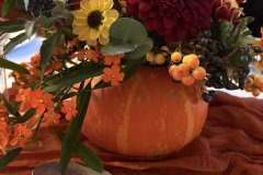 CEmm9u08Mgpr-IMG_3951